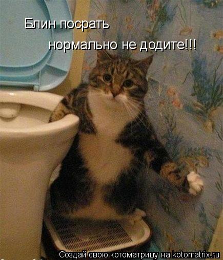 Котоматрица: Блин посрать  нормально не додите!!!