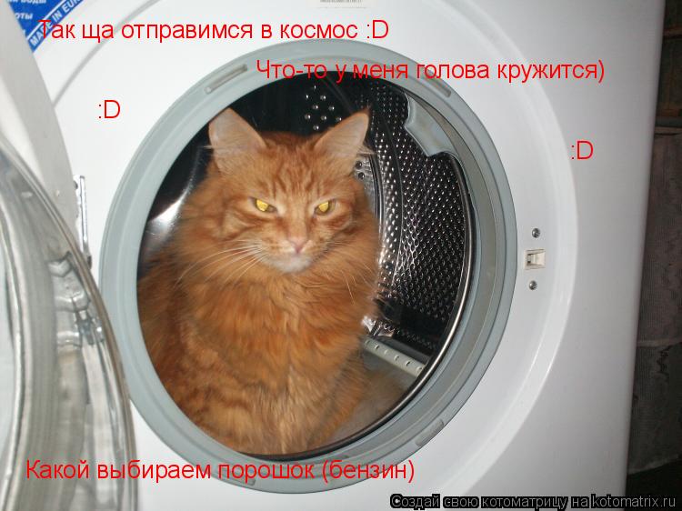 Котоматрица: Так ща отправимся в космос :D Что-то у меня голова кружится) Какой выбираем порошок (бензин) :D :D