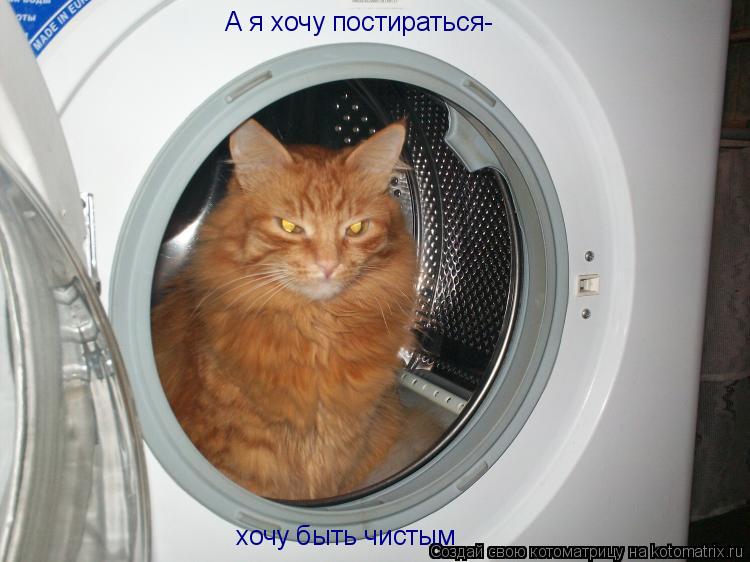 Котоматрица: А я хочу постираться- хочу быть чистым
