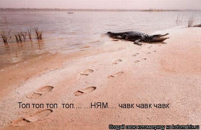 Котоматрица: Топ топ топ  топ.... ...НЯМ.... чавк чавк чавк