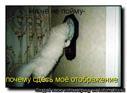 Котоматрица: Ни чё не пойму- почему сдесь моё отображение