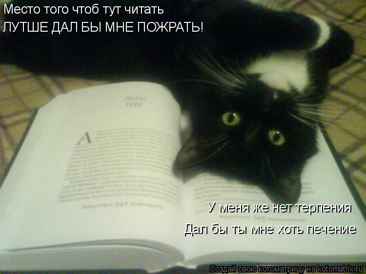 Котоматрица: Место того чтоб тут читать ЛУТШЕ ДАЛ БЫ МНЕ ПОЖРАТЬ! У меня же нет терпения Дал бы ты мне хоть печение