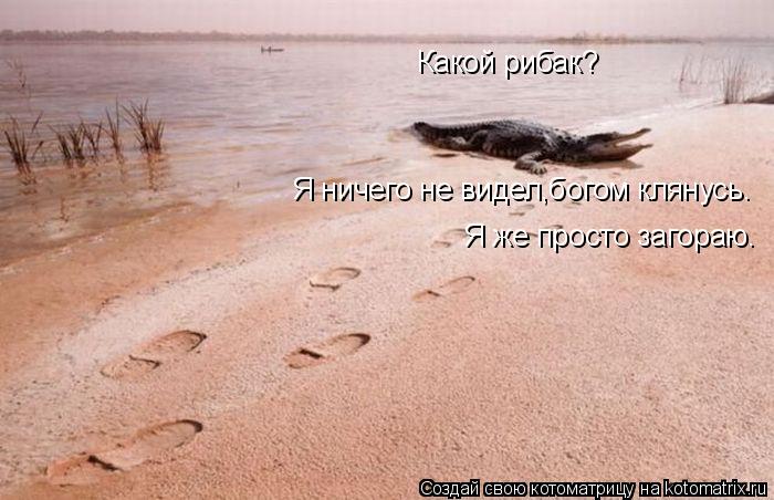 Какой рибак? Я ничего не видел,богом клянусь. Я же просто загораю.... Котоматрица: Какой рибак? Я ничего не видел,богом клянусь. Я же просто загораю.