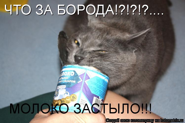 Котоматрица: ЧТО ЗА БОРОДА!?!?!?.... МОЛОКО ЗАСТЫЛО!!!
