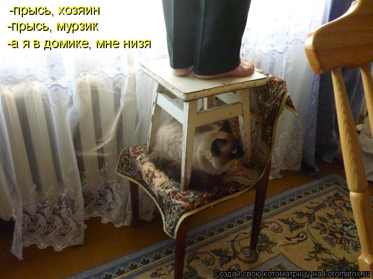 Котоматрица: -прысь, хозяин -прысь, мурзик -а я в домике, мне низя