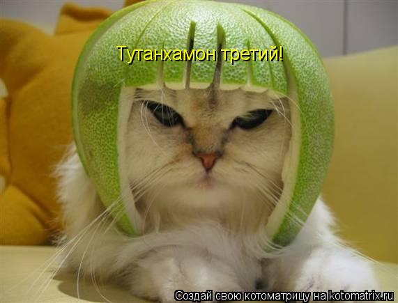 Котоматрица: Тутанхамон третий!