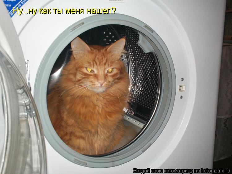 Котоматрица: Ну...ну как ты меня нашел?