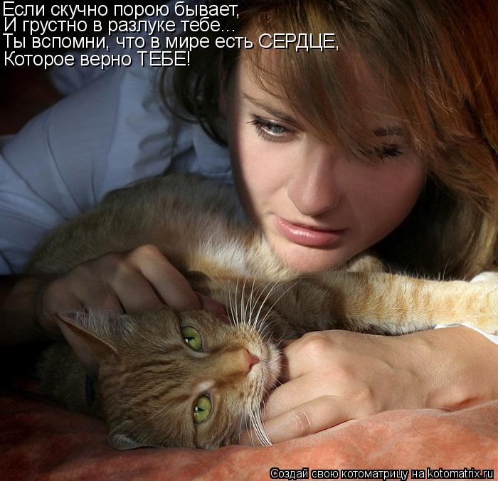 Котоматрица: Если скучно порою бывает, И грустно в разлуке тебе... Ты вспомни, что в мире есть СЕРДЦЕ, Которое верно ТЕБЕ!