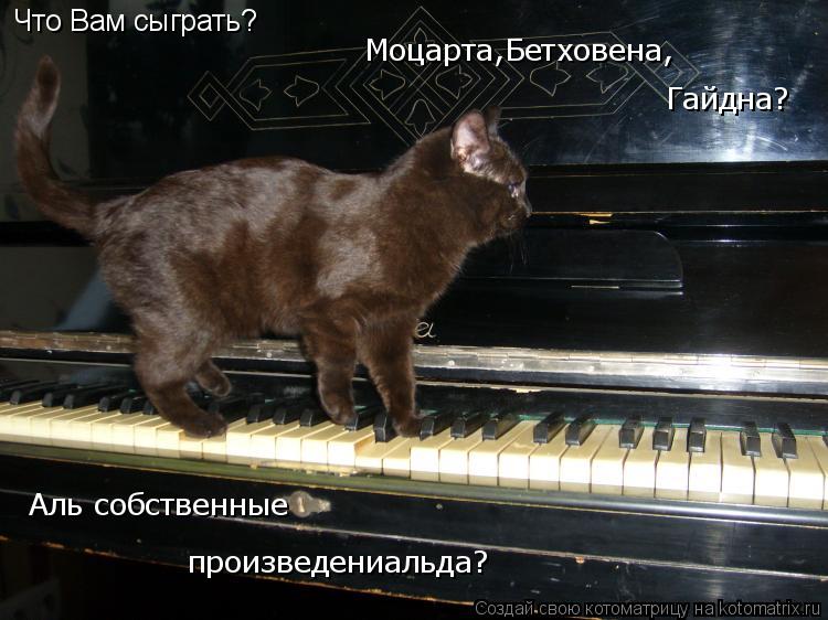 Котоматрица: Что Вам сыграть? Моцарта,Бетховена,  Гайдна? Аль собственные произведениальда?