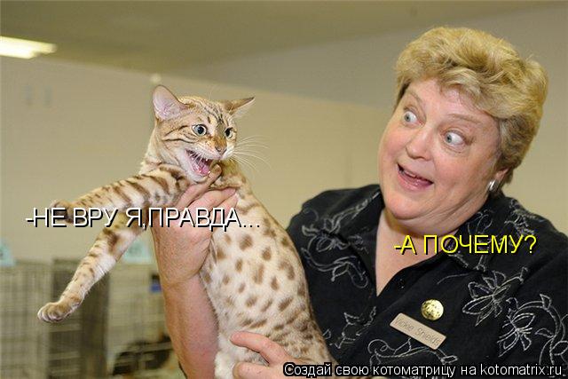 Котоматрица: -НЕ ВРУ Я,ПРАВДА... -А ПОЧЕМУ?