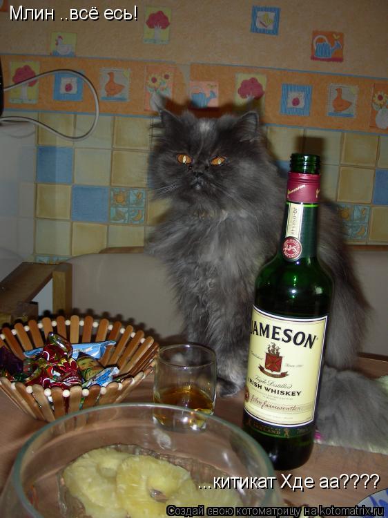 Котоматрица: Млин ..всё есь!  ...китикат Хде аа????