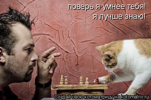 Котоматрица: поверь я умнее тебя! я лучше знаю!