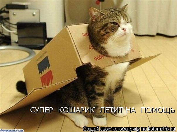 Котоматрица: СУПЕР  КОШАРИК  ЛЕТИТ НА  ПОМОЩЬ !