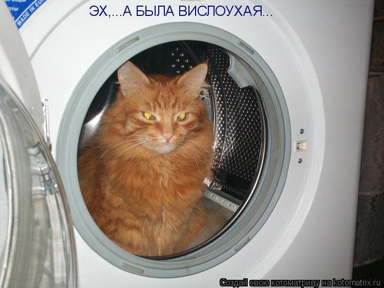 Котоматрица: ЭХ,...А БЫЛА ВИСЛОУХАЯ...