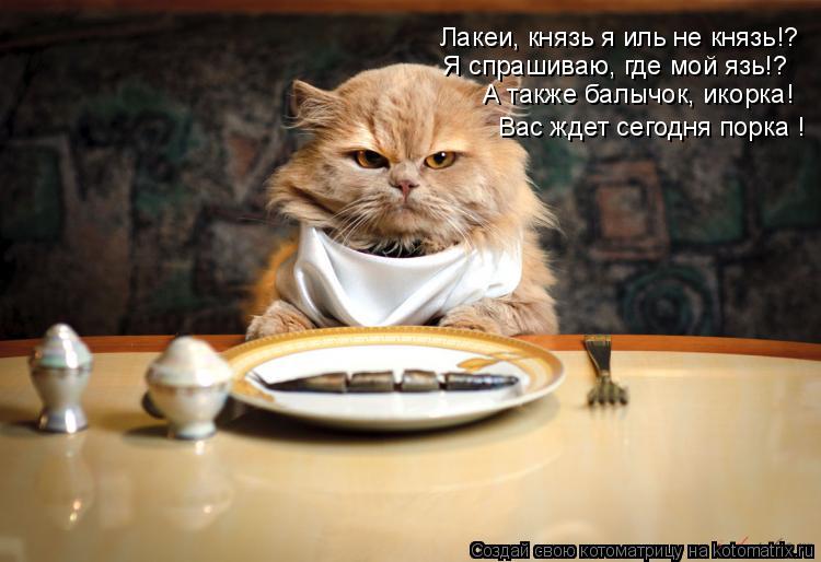 Котоматрица: Лакеи, князь я иль не князь!? Я спрашиваю, где мой язь!? А также балычок, икорка! Вас ждет сегодня порка !