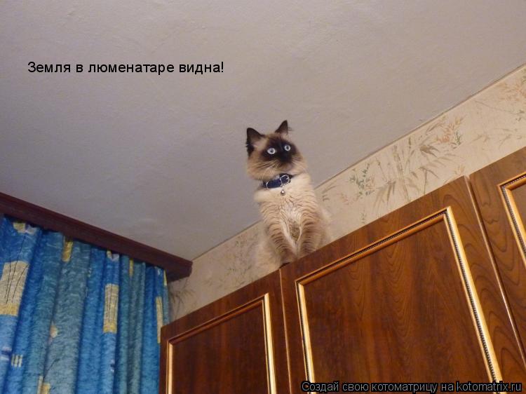 Котоматрица: Земля в люменатаре видна!