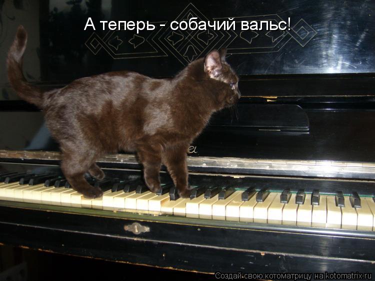 Котоматрица: А теперь - собачий вальс!