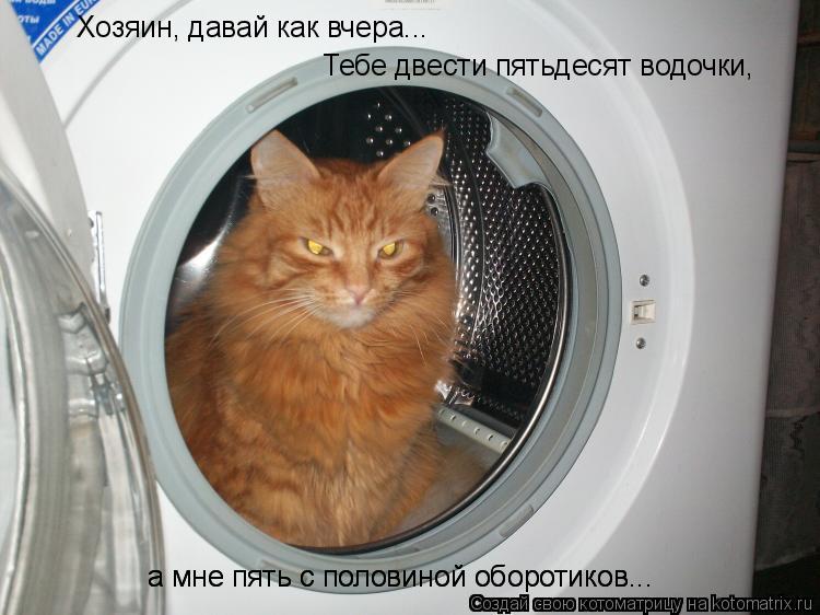 Котоматрица: Хозяин, давай как вчера... Тебе двести пятьдесят водочки,  а мне пять с половиной оборотиков... а мне пять с половиной оборотиков...