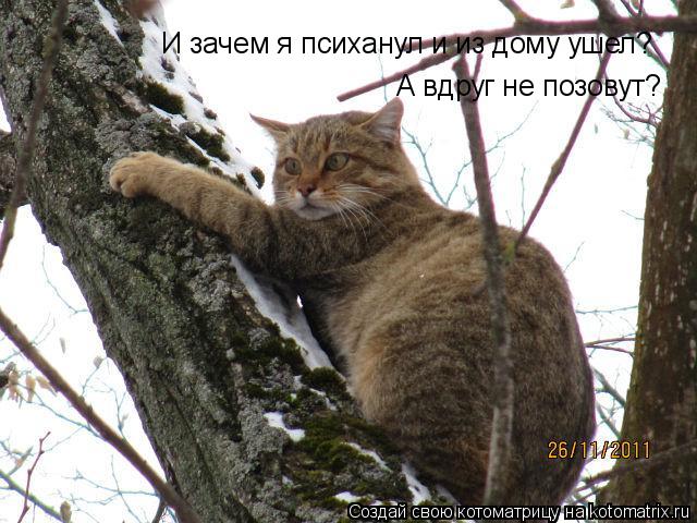 Котоматрица: И зачем я психанул и из дому ушел? А вдруг не позовут?