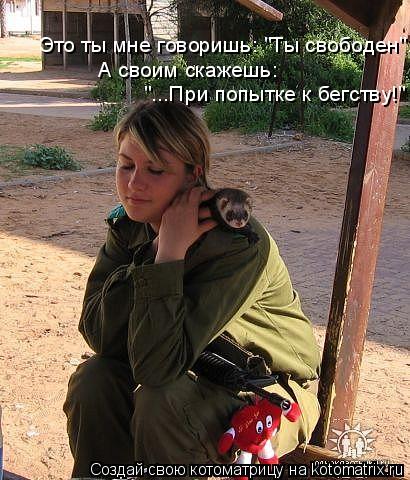 Котоматрица: Это ты мне говоришь: "Ты свободен". А своим скажешь:  "...При попытке к бегству!"