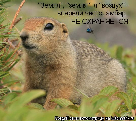 Котоматрица: "Земля", "земля", я "воздух" - впереди чисто, амбар НЕ ОХРАНЯЕТСЯ!