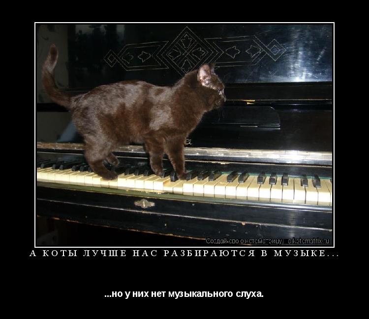 Котоматрица: А коты лучше нас разбираются в музыке... ...но у них нет музыкального слуха.
