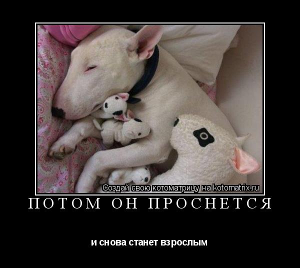 Котоматрица: потом он проснется и снова станет взрослым