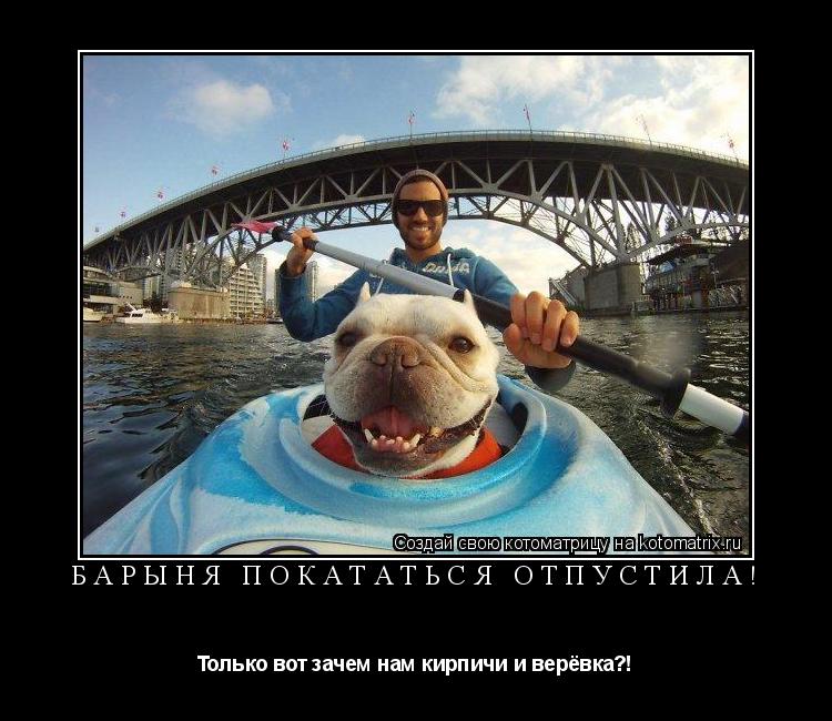Котоматрица: барыня покататься отпустила! Только вот зачем нам кирпичи и верёвка?!