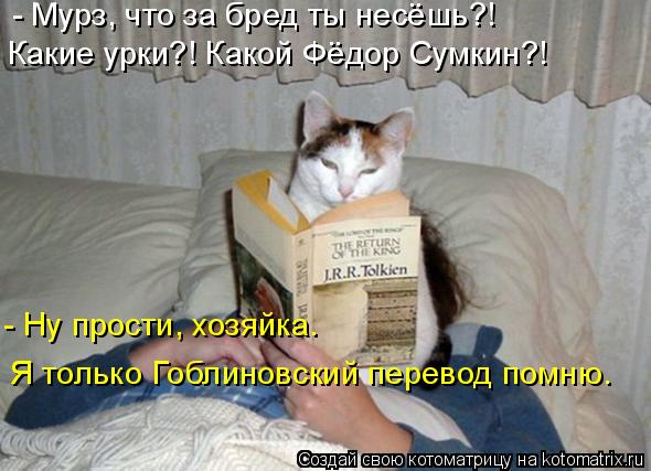 Котоматрица: - Мурз, что за бред ты несёшь?!  Какие урки?! Какой Фёдор Сумкин?! - Ну прости, хозяйка.  Я только Гоблиновский перевод помню.