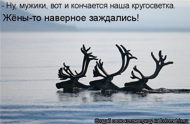 Котоматрица: - Ну, мужики, вот и кончается наша кругосветка.  Жёны-то наверное заждались!