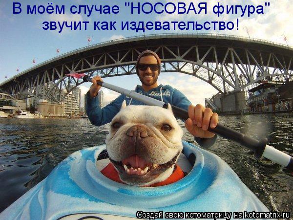 Котоматрица: В моём случае "НОСОВАЯ фигура"  звучит как издевательство!