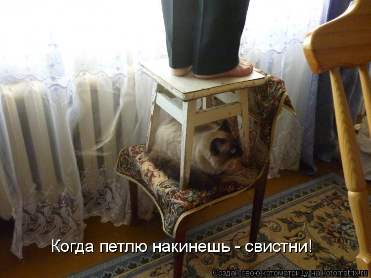 Котоматрица: Когда петлю накинешь - свистни!