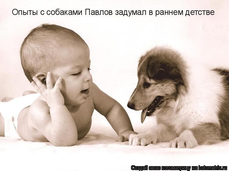 Котоматрица: Oпыты с собаками Павлов задумал в раннем детстве