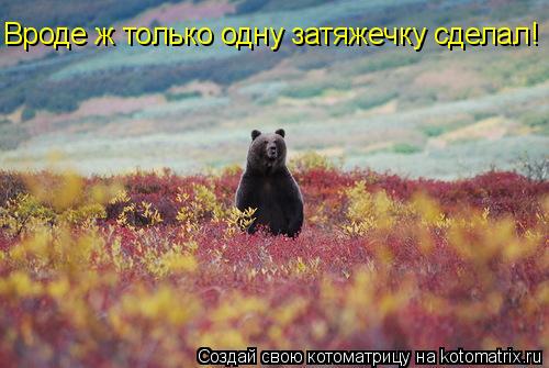 Котоматрица: Вроде ж только одну затяжечку сделал!