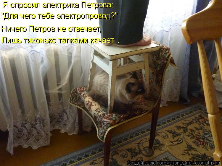 Котоматрица: Я спросил электрика Петрова: "Для чего тебе электропровод?" Ничего Петров не отвечает, Лишь тихонько тапками качает...
