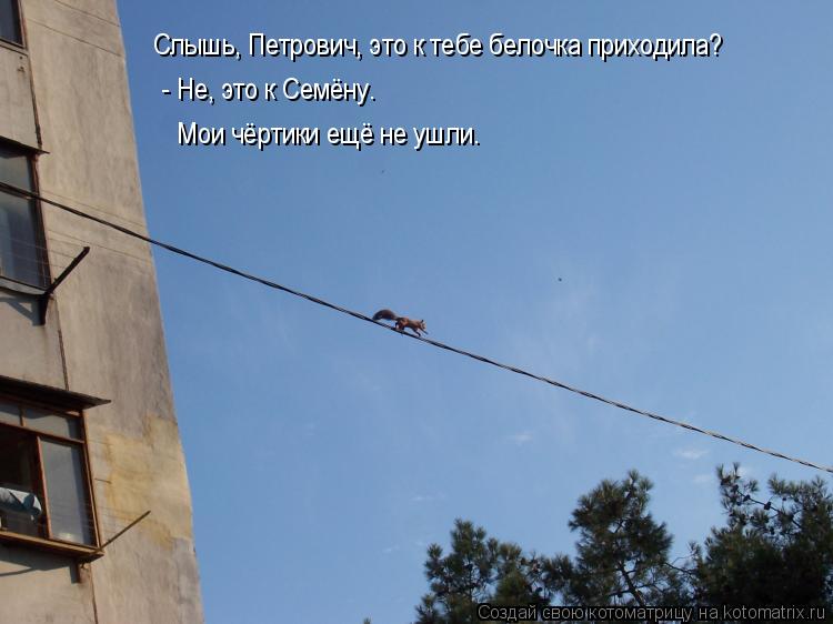 Котоматрица: Слышь, Петрович, это к тебе белочка приходила?  - Не, это к Семёну. Мои чёртики ещё не ушли.