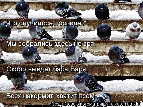 Котоматрица: Что случилось, господа? Мы собрались здесь не зря. Скоро выйдет баба Варя, Всех накормит… хватит всем.