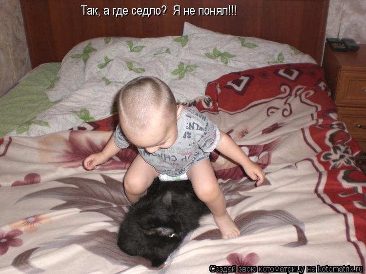 Котоматрица: Так, а где седло?  Я не понял!!!