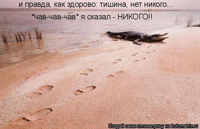 Котоматрица: и правда, как здорово: тишина, нет никого... *чав-чав-чав* я сказал - НИКОГО!!