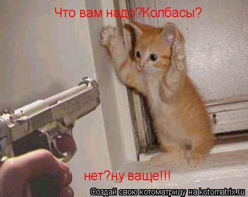 Котоматрица: Что вам надо?Колбасы?  нет?ну ваще!!!