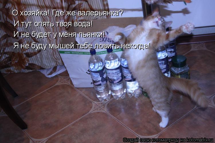 Где ты мышей ловил Где ты мышей ловил