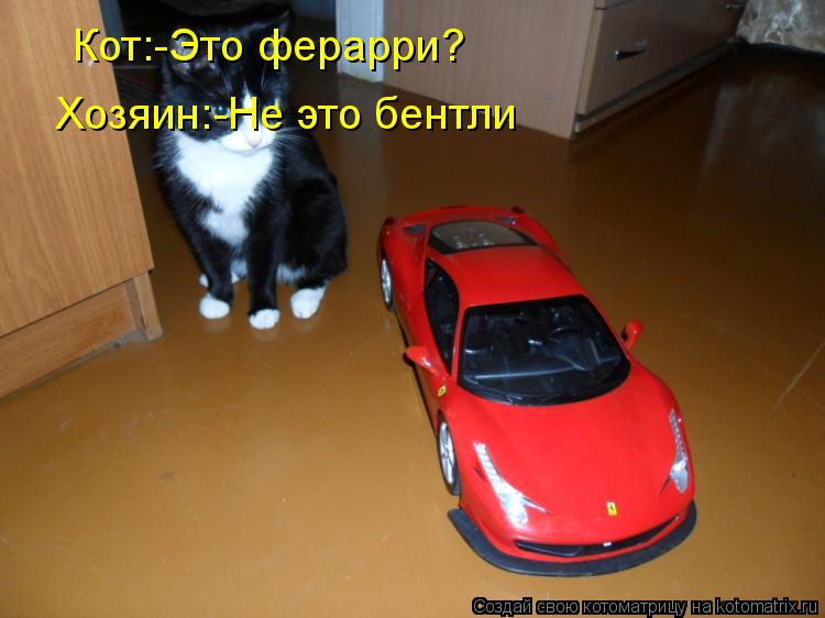 Котоматрица: Кот:-Это ферарри? Хозяин:-Не это бентли