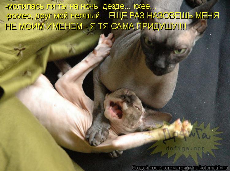 Котоматрица: -молилась ли ты на ночь, дезде... кхее... -ромео, друг мой нежный... ЕЩЕ РАЗ НАЗОВЕШЬ МЕНЯ  НЕ МОИМ ИМЕНЕМ - Я ТЯ САМА ПРИДУШУ!!!!