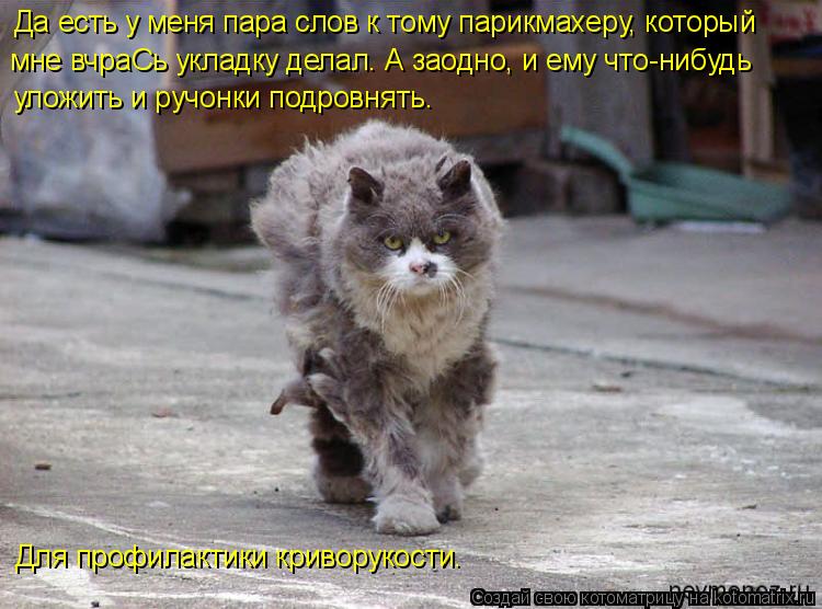 Котоматрица: Да есть у меня пара слов к тому парикмахеру, который  мне вчраСь укладку делал. А заодно, и ему что-нибудь  уложить и ручонки подровнять. Для п