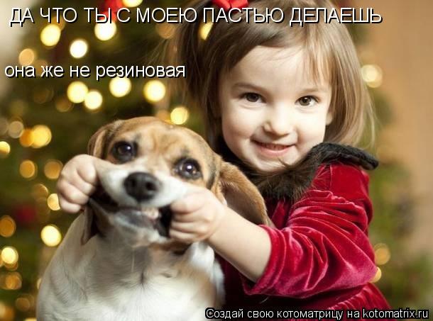 Котоматрица: ДА ЧТО ТЫ С МОЕЮ ПАСТЬЮ ДЕЛАЕШЬ она же не резиновая