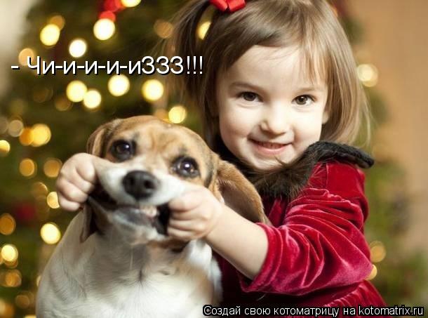 Котоматрица: - Чи-и-и-и-иЗЗЗ!!!