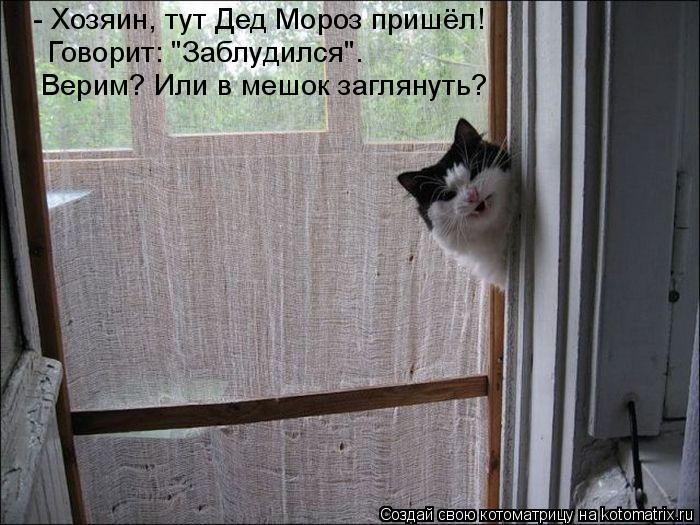 - Хозяин, тут Дед Мороз пришёл! Говорит: "Заблудился". Верим? Или в мешок заглянуть?... Котоматрица: - Хозяин, тут Дед Мороз пришёл! Говорит: "Заблудился". Верим? Или в мешок заглянуть?