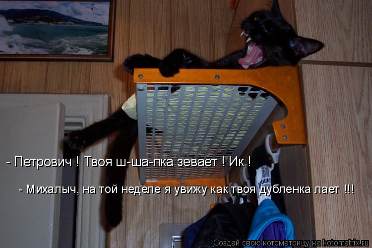 Котоматрица: - Петрович ! Твоя ш-ша-пка зевает ! Ик ! - Михалыч, на той неделе я увижу как твоя дубленка лает !!!