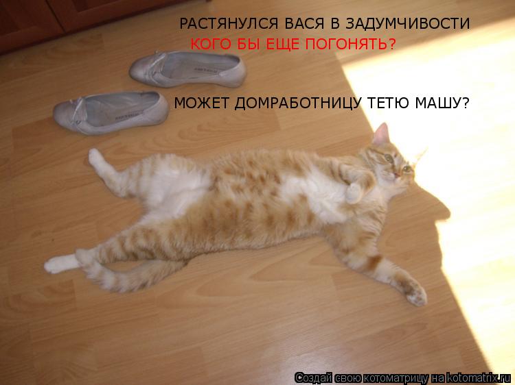 Котоматрица: РАСТЯНУЛСЯ ВАСЯ В ЗАДУМЧИВОСТИ КОГО БЫ ЕЩЕ ПОГОНЯТЬ? МОЖЕТ ДОМРАБОТНИЦУ ТЕТЮ МАШУ?