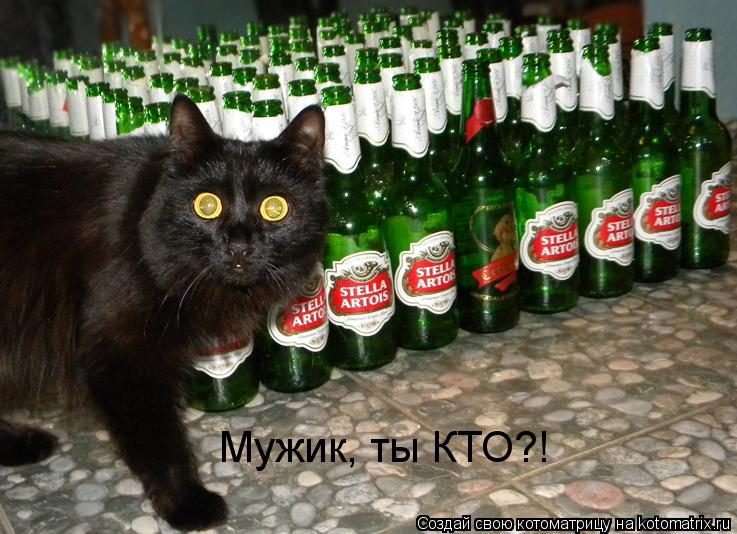 Котоматрица: Мужик, ты КТО?!